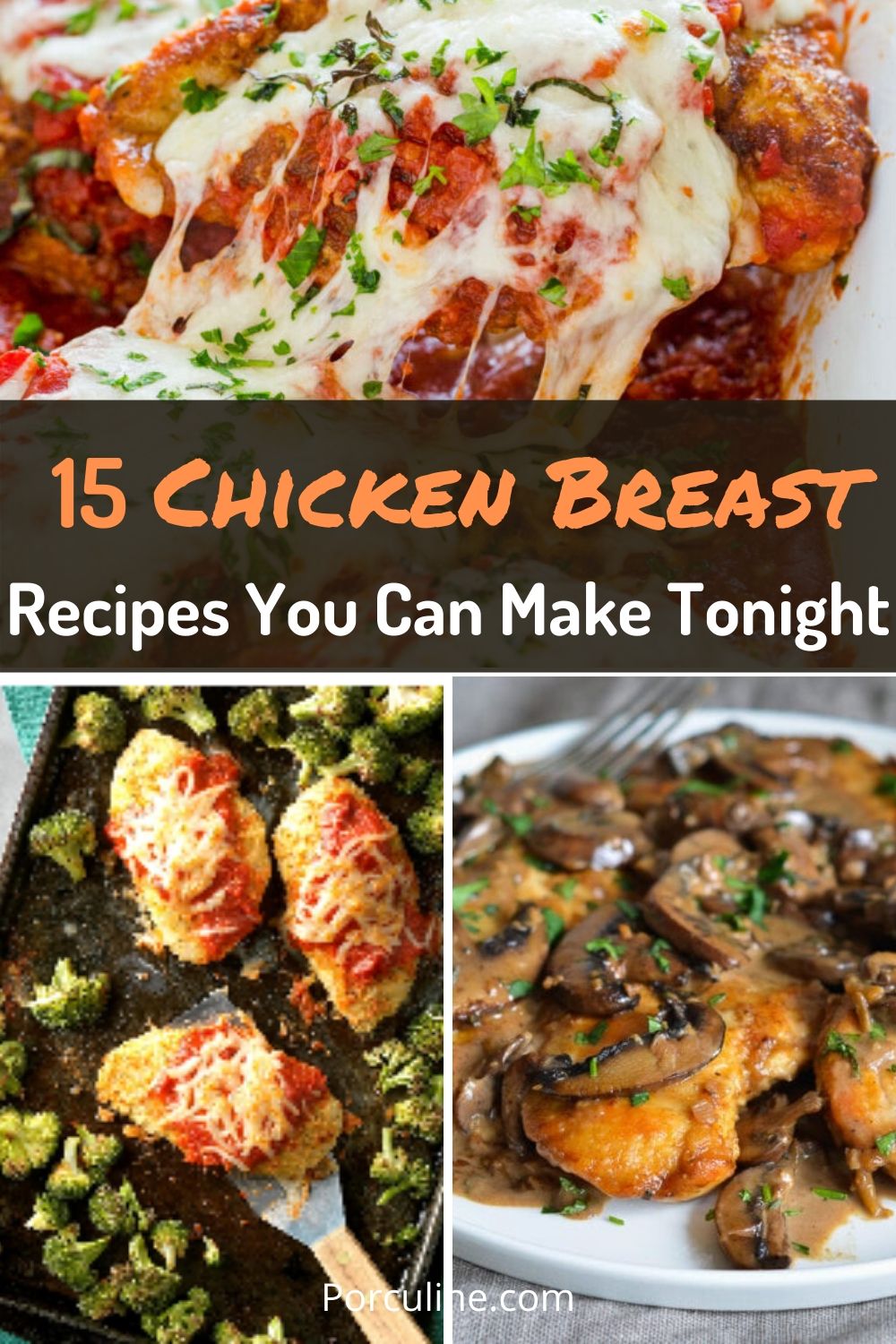 15 Easy & Delicious Chicken Breast Recipes - Porculine