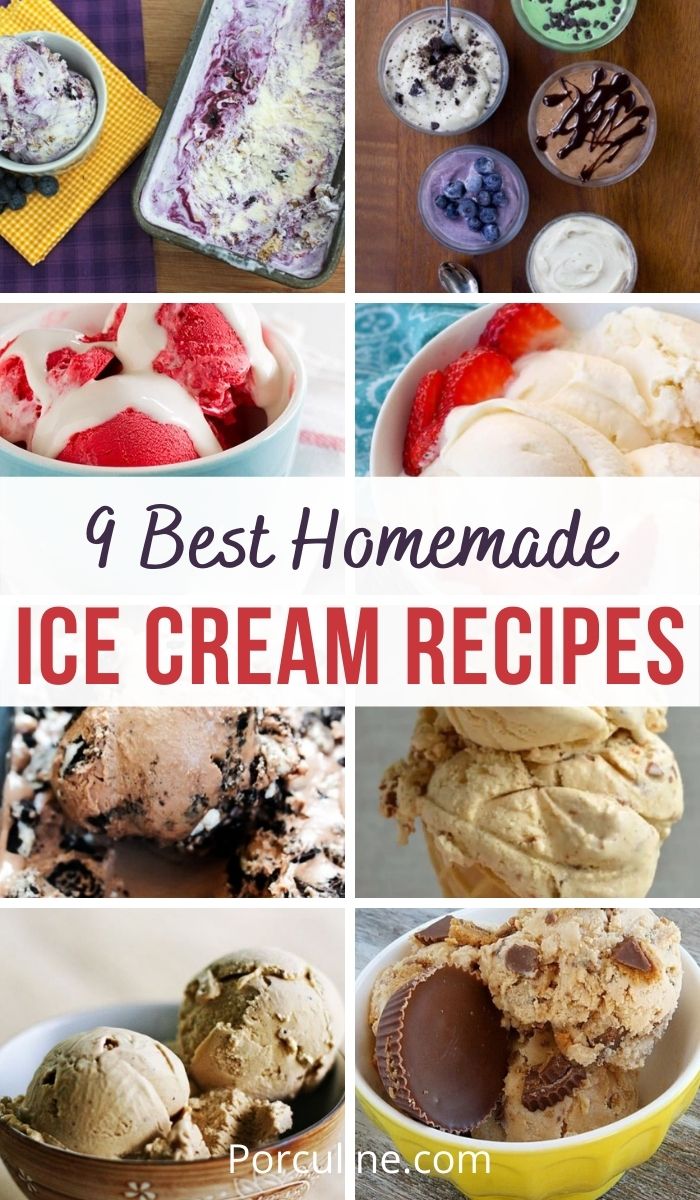 9 Best Homemade Ice Cream Recipes You Need To Try - Porculine