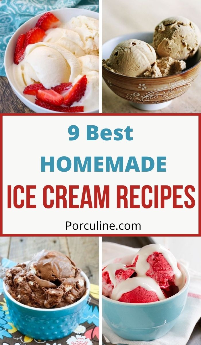 9 Best Homemade Ice Cream Recipes You Need To Try - Porculine