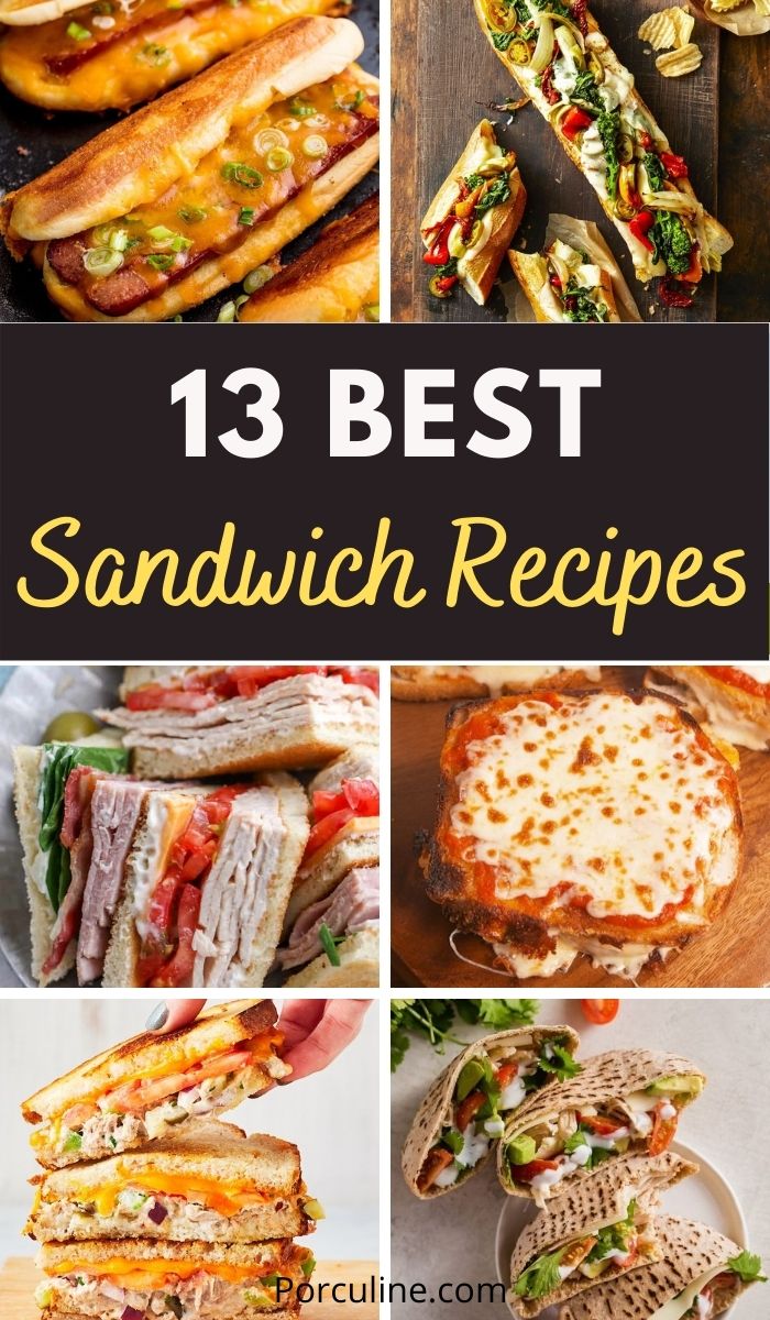 13 Delicious Sandwich Recipes You can Make at Home - Porculine