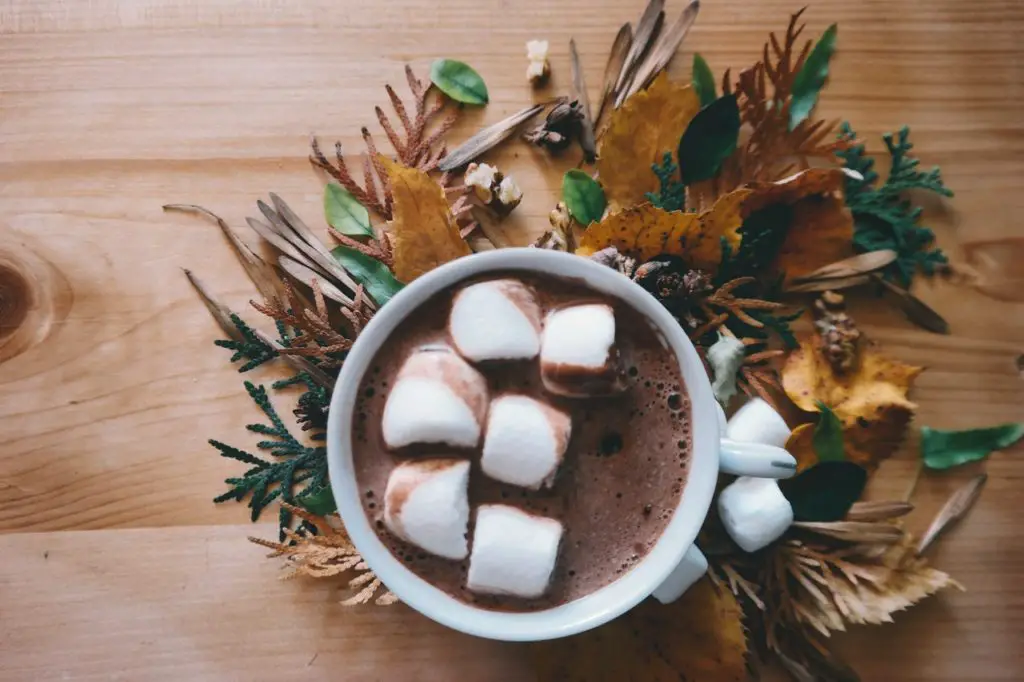 Hot Chocolate in a white mug with marshmallow on top of it