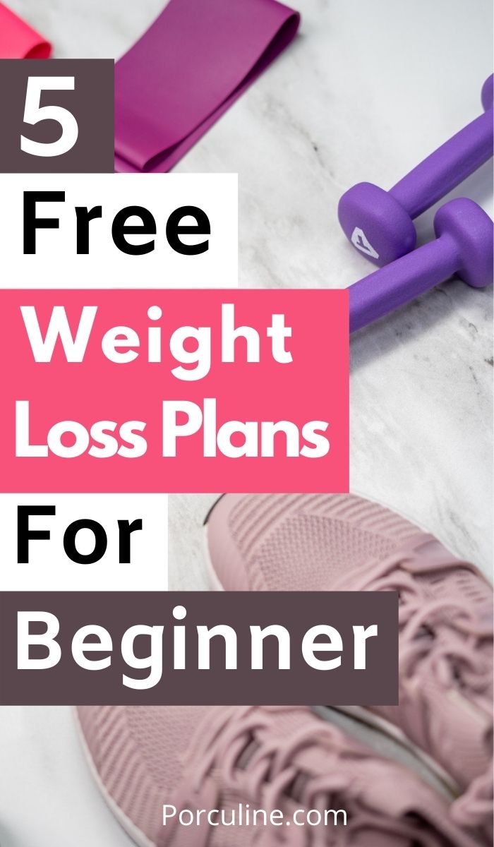 5 Free Weight Loss Plans That Actually Work - Porculine.com