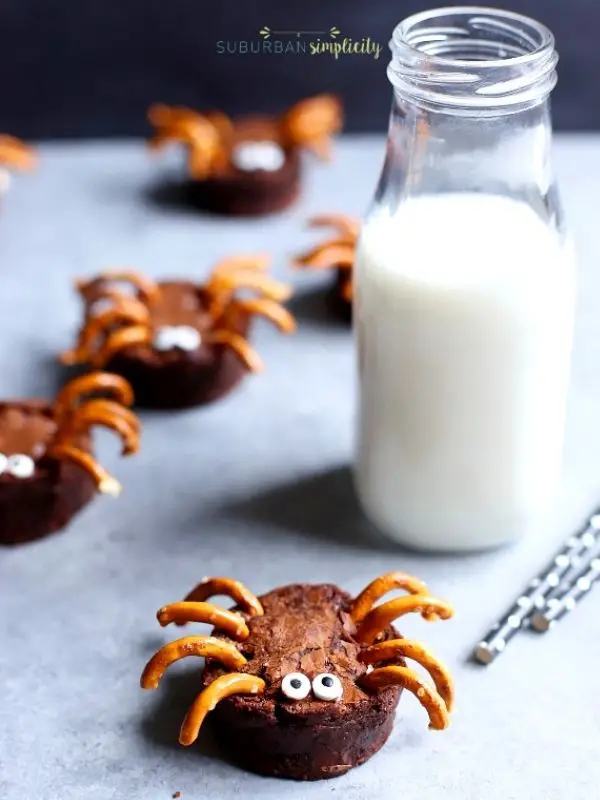 Brownie Spider