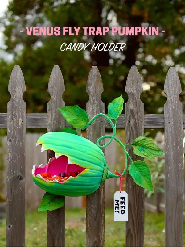 Venus Fly Trap Pumpkin Candy Holder