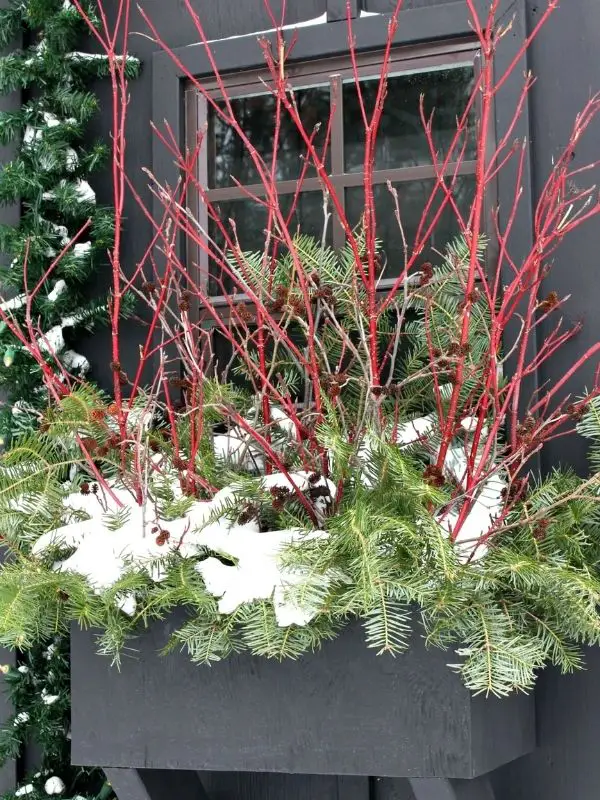 Winter Window Box