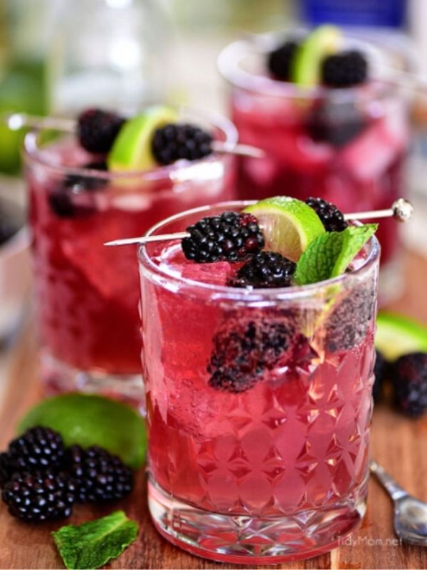 Sangria Mexican Mule Cocktail
