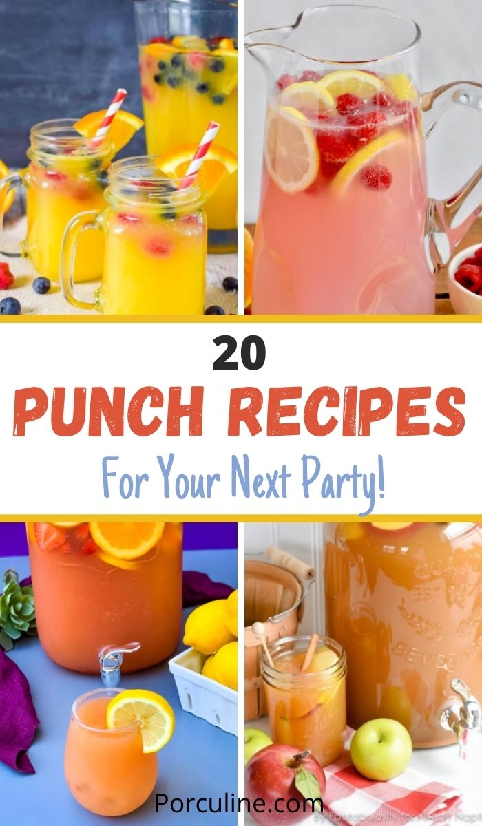 20 Best Party Punch Recipes That Will Satisfy Your Crowd - Porculine