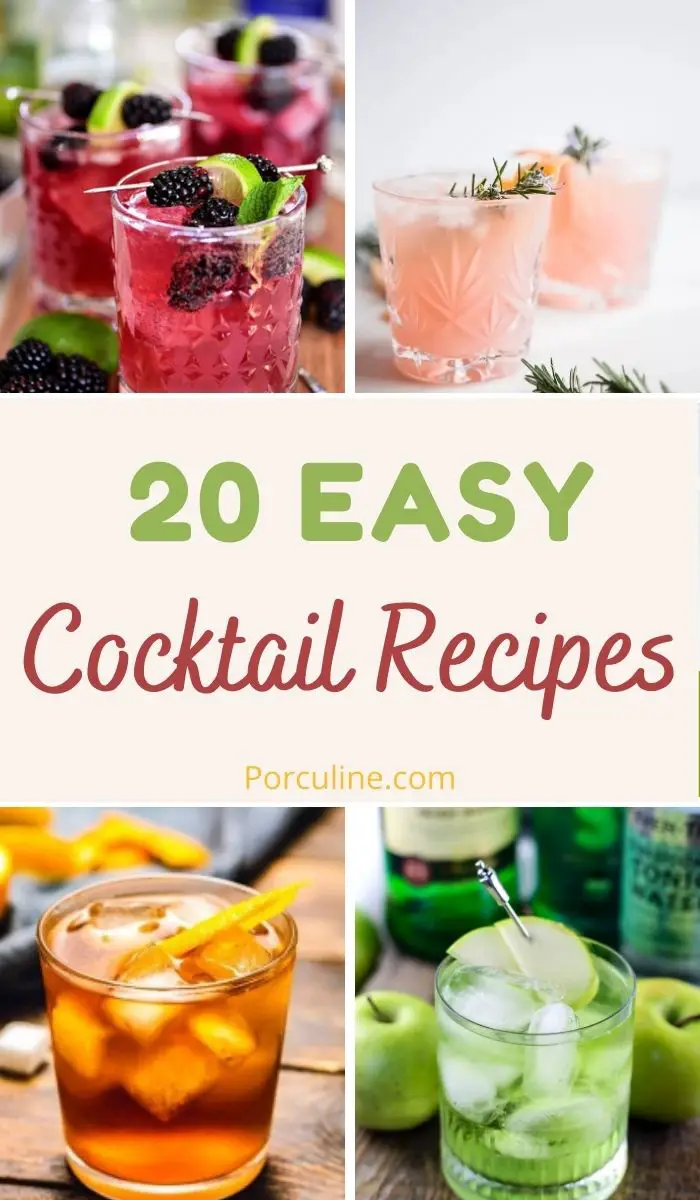 20 Amazing Cocktail Recipes You Can Easily Make At Home - Porculine