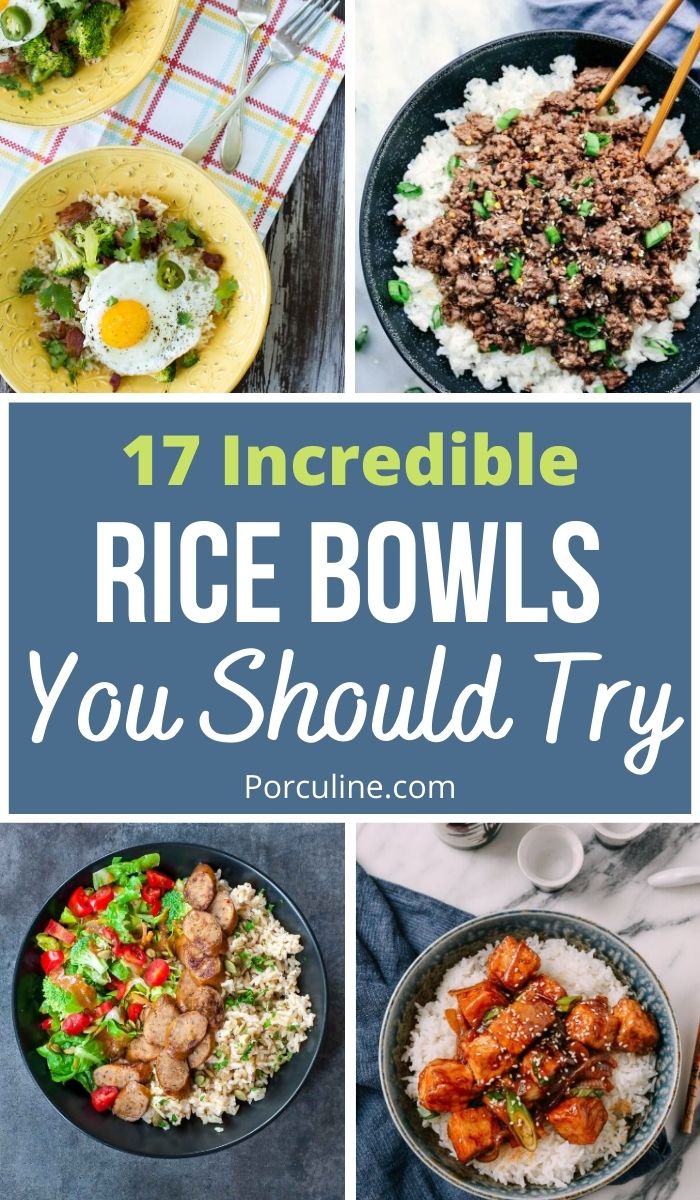 17 Tasty Rice Bowl Recipes You Should Try Now Porculine