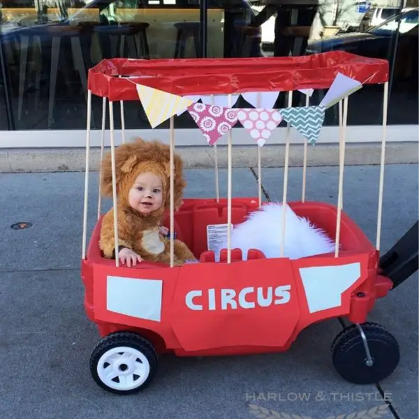 DIY Halloween Baby Circus Lion