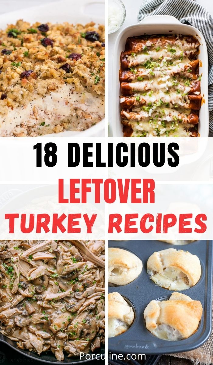 18 Best Leftover Turkey Recipes You Absolutely Will Love - Porculine