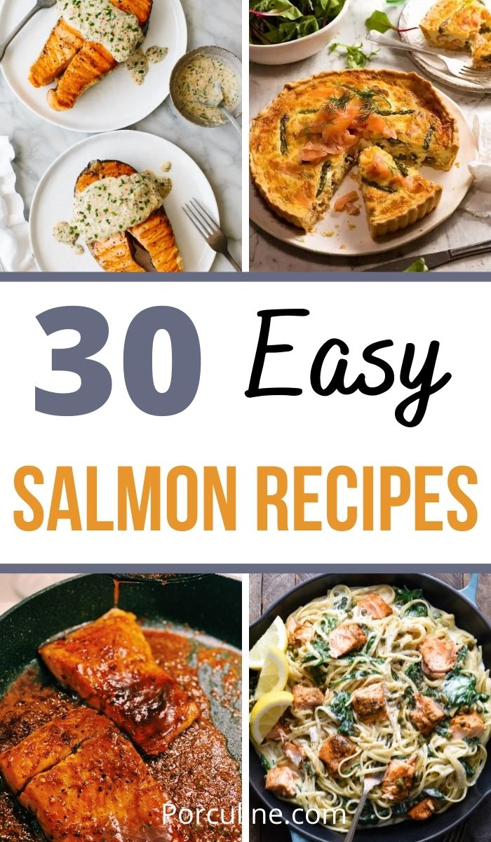 30 Easy Salmon Recipes for a Filling and Tasty Meal - Porculine