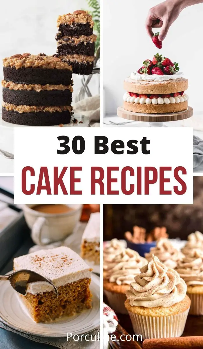 30 Best Cake Recipes You'll Want to Eat Year-Round - Porculine