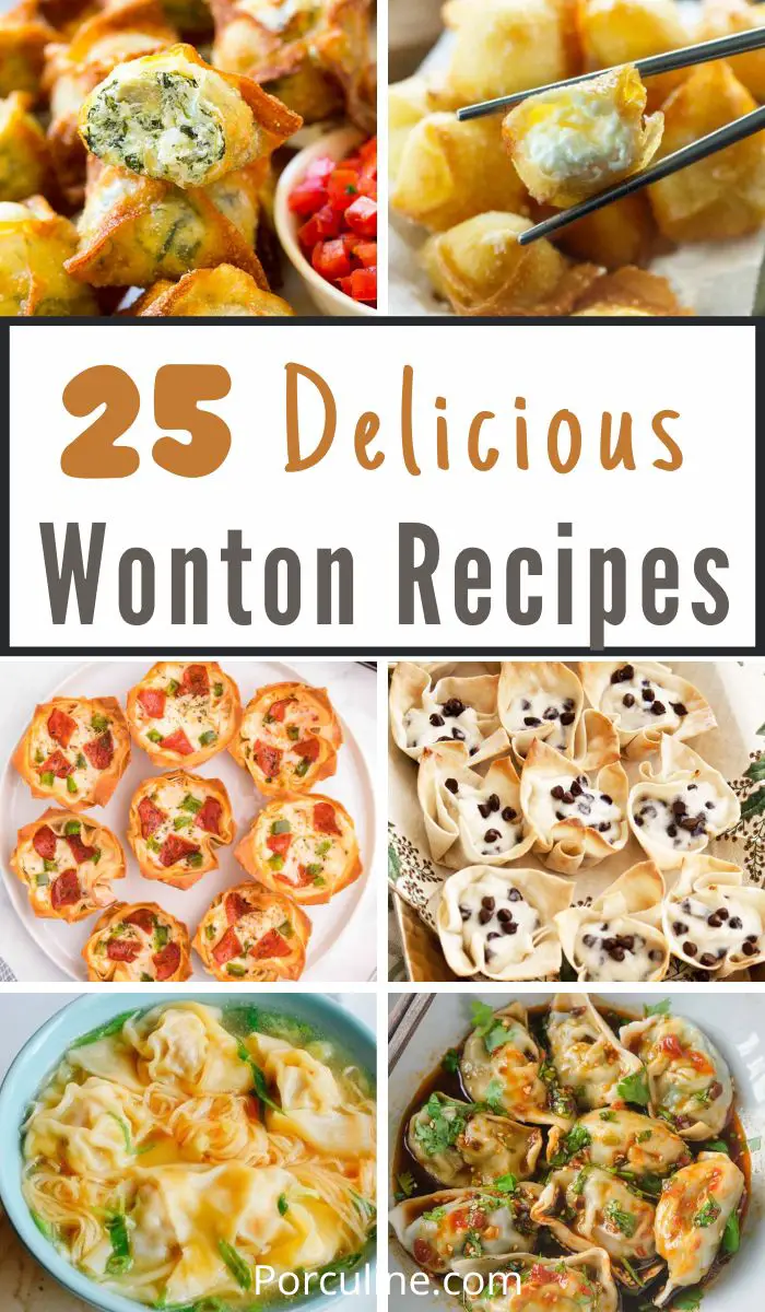 25 Insanely Easy Wonton Recipes for Your Next Snacking - Porculine