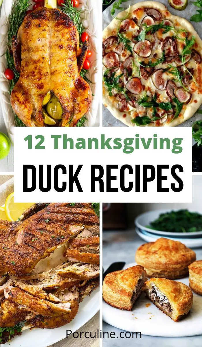12 Best Duck Recipes for Thanksgiving Feast - Porculine