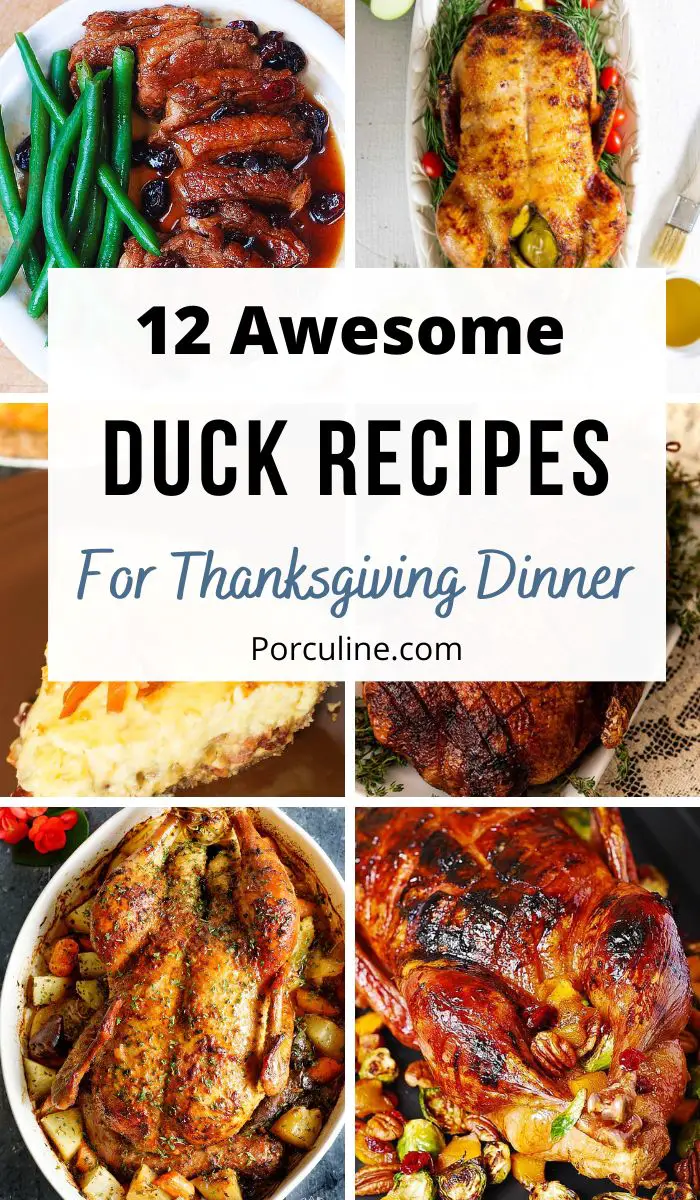 12 Best Duck Recipes for Thanksgiving Feast - Porculine