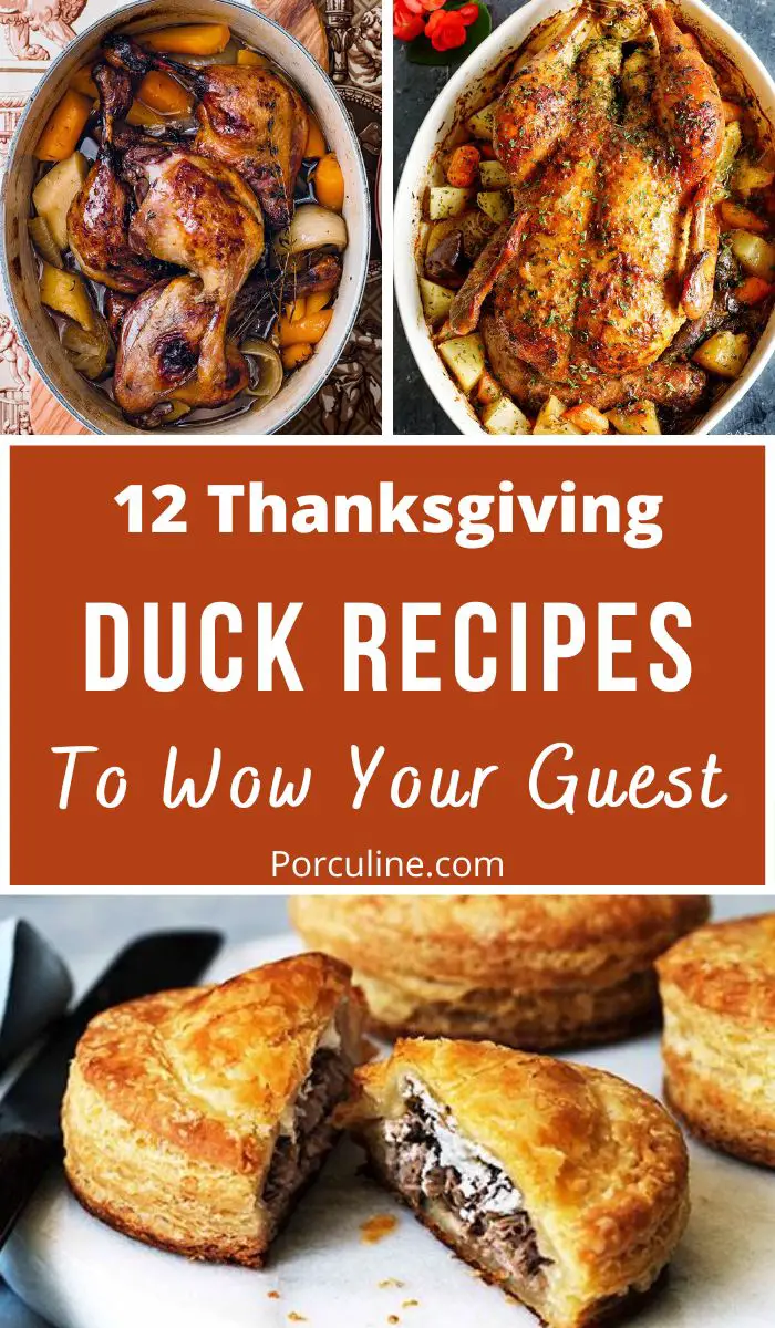 Duck Recipes For Thanksgiving
 12 Best Duck Recipes for Thanksgiving Feast Porculine