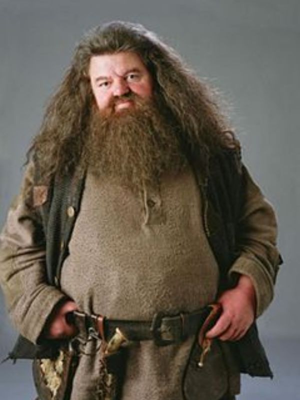 Hagrid from Harry Potter