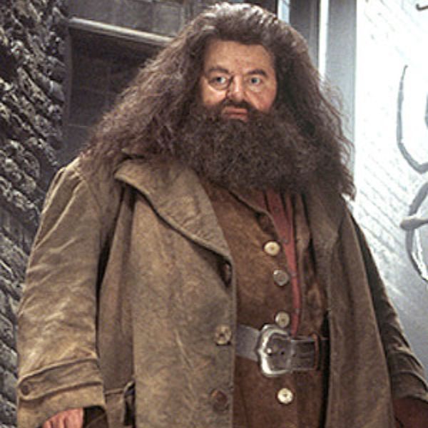 Hagrid from The Harry Potter