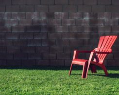 Simple Improvements You Can Make To Your Backyard