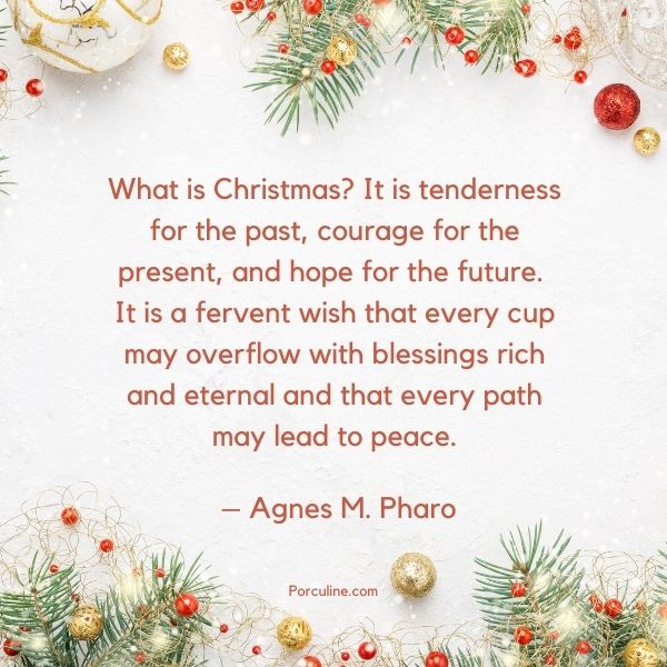 Inspirational Christmas Quotes for Family_38