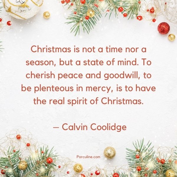 Inspirational Christmas Quotes for Family_5